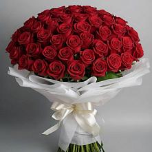 Букет 101 Красная роза Блэк Мэджик в Бриньковской