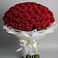 Букет 101 Красная роза Блэк Мэджик в Бриньковской