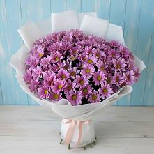 Букет цветов из:  Хризантемы в Бриньковской