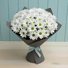 Букет цветов из:  Хризантемы #REPLACE_PRED# Бриньковской