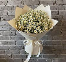 Букет цветов из:  Ромашки #REPLACE_PRED# Бриньковской