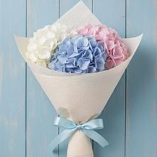 Букет цветов из:  Гортензия в Бриньковской