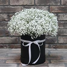 Цветочная композиция из Гипсофила в шляпной коробке в Бриньковской