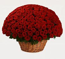 Премиум букет из: Розы в Бриньковской